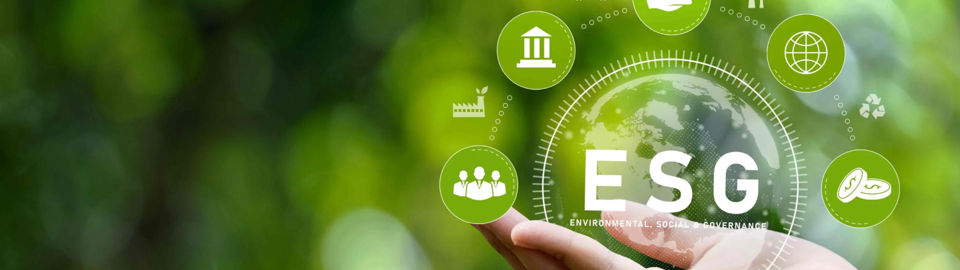 Sustainable Development