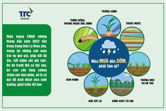 Mùa mưa đến sớm, cần lưu ý gì?
